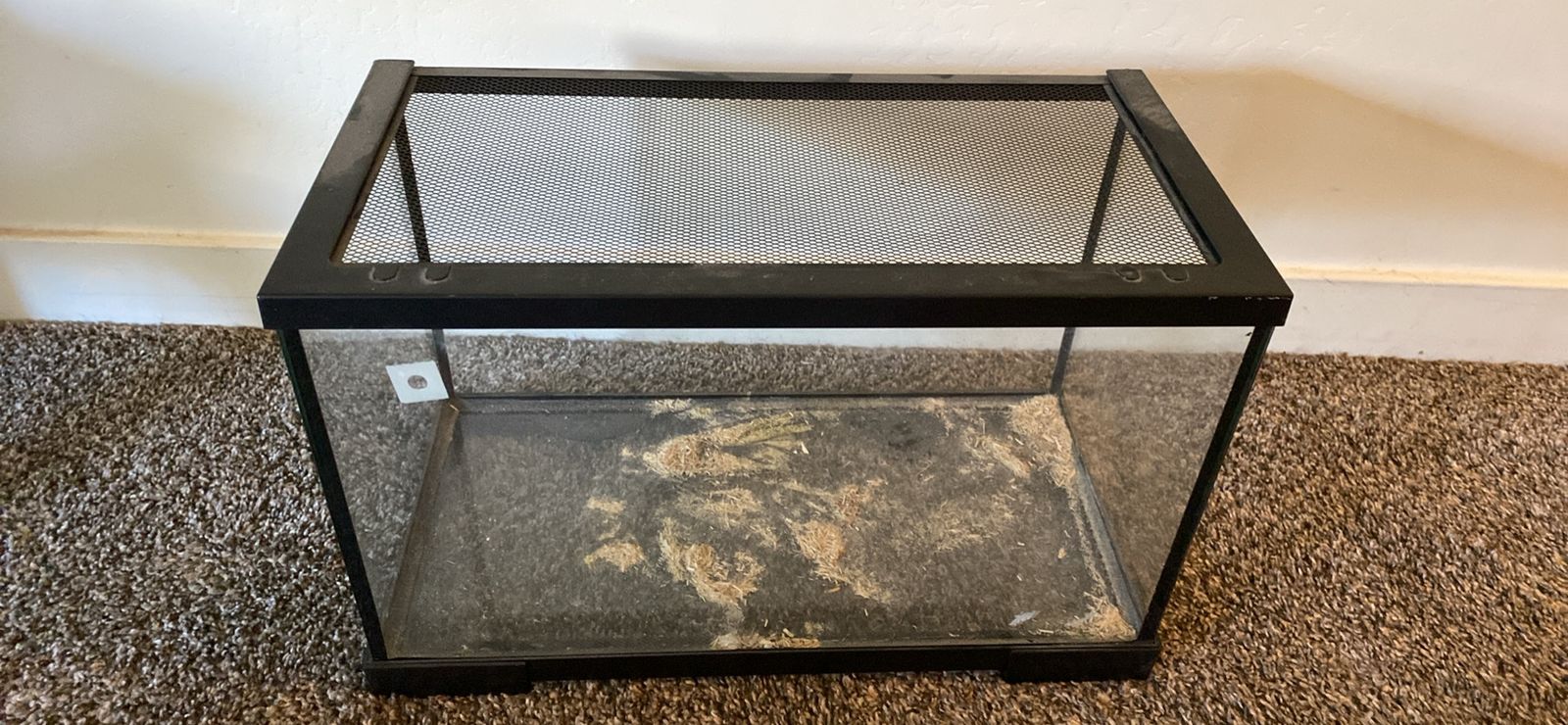 Glass Tank with Screen Top for Reptiles