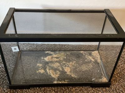 Glass Tank with Screen Top for Reptiles