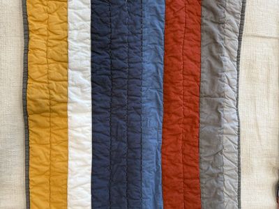 Pottery Barn Kids Bedspread and Pillow Cases