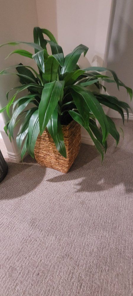 Artificial Potted Plant in Woven Seagrass Planter Basket