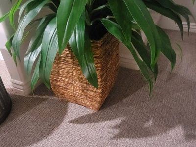 Artificial Potted Plant in Woven Seagrass Planter Basket