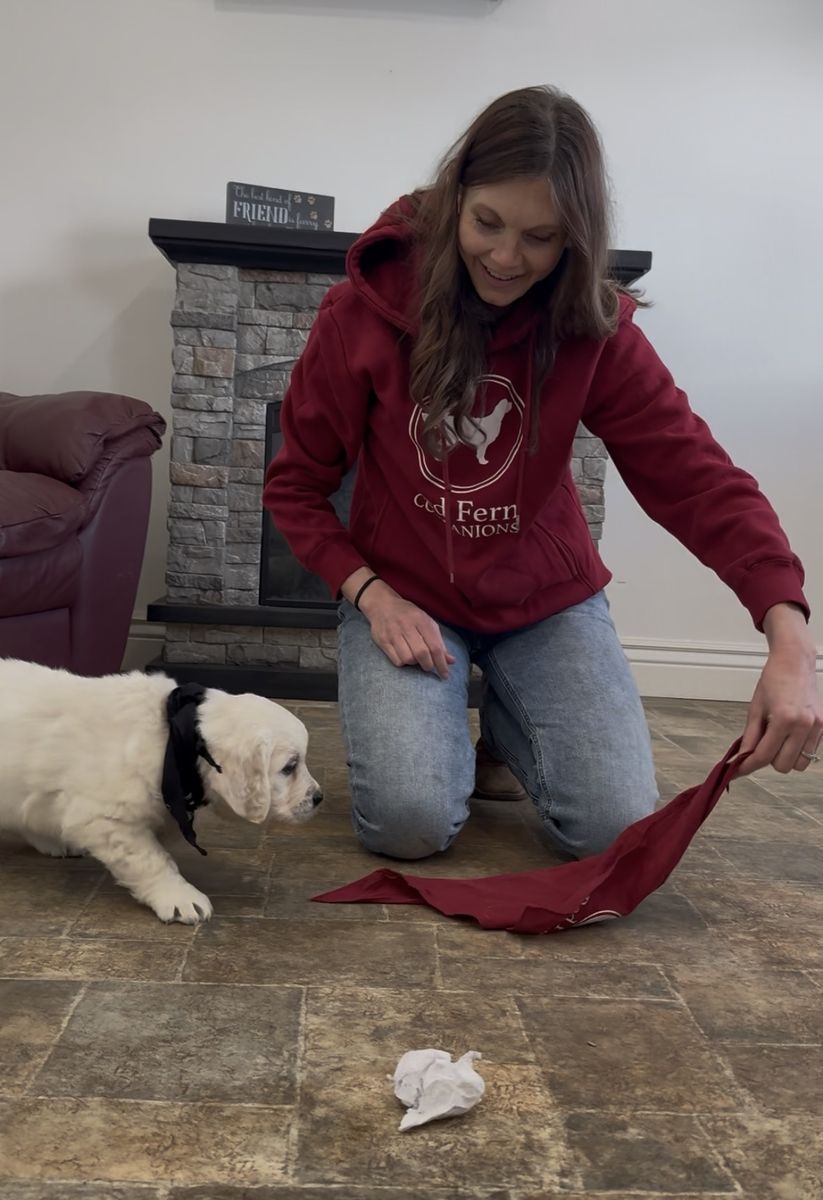 Main image 7