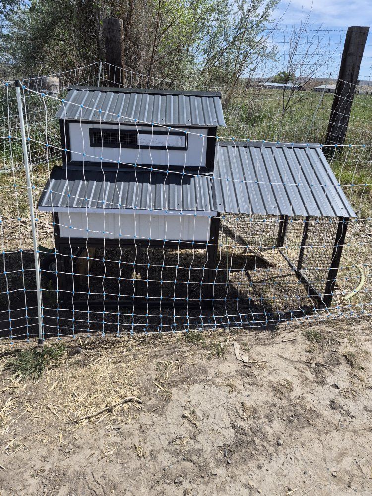 Moveable 6 hen chicken coop with Chicklift wheel set