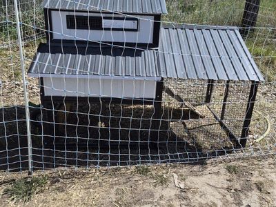 Moveable 6 hen chicken coop with Chicklift wheel set