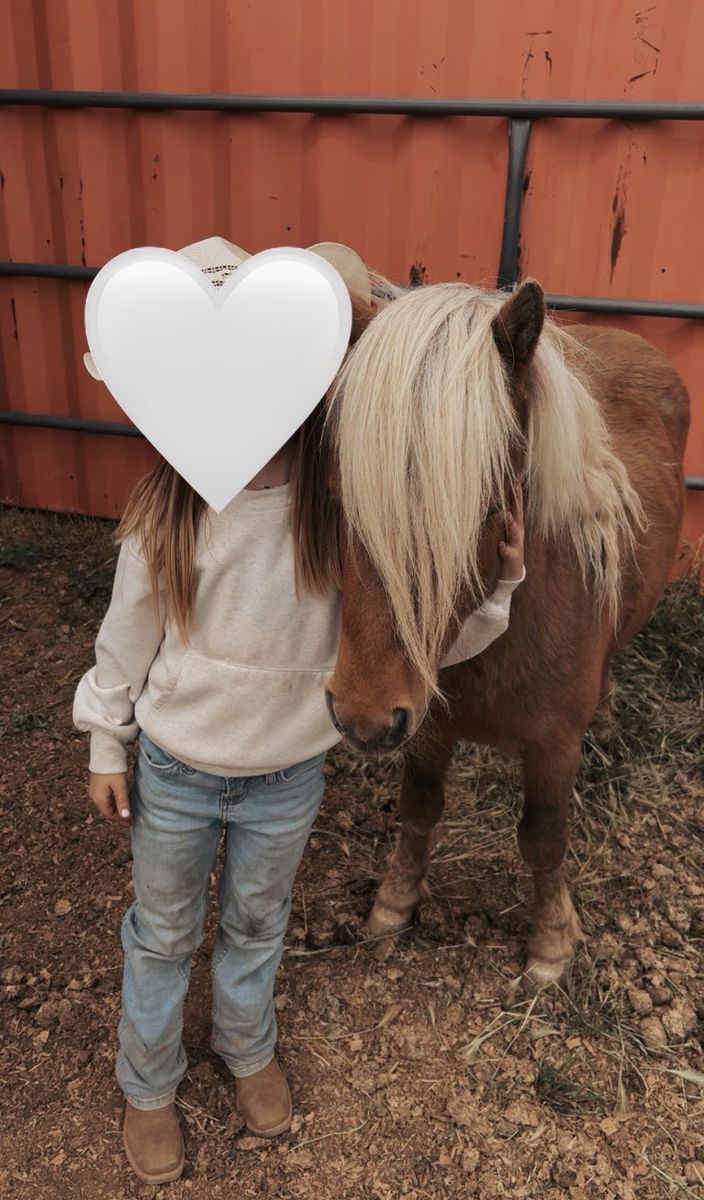 Pony/horse