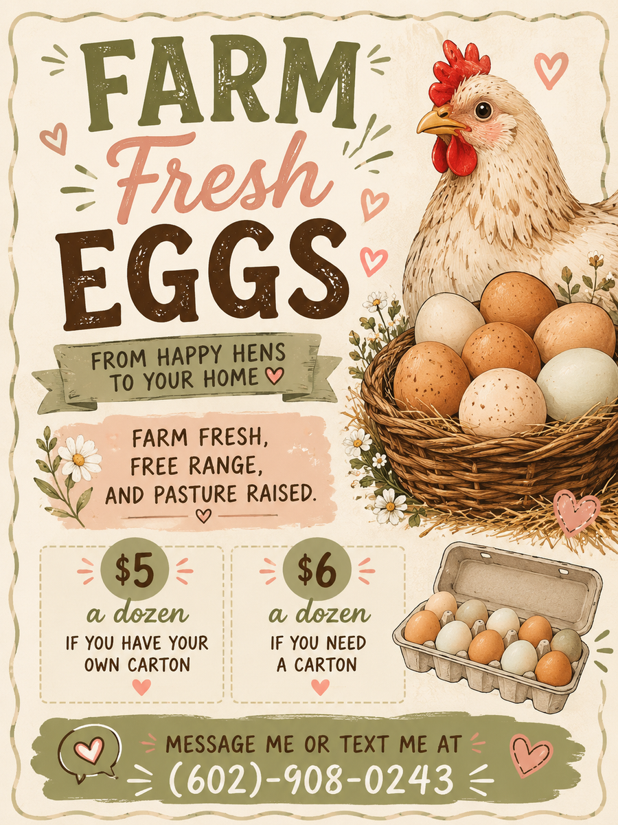 Farm Fresh Eggs
