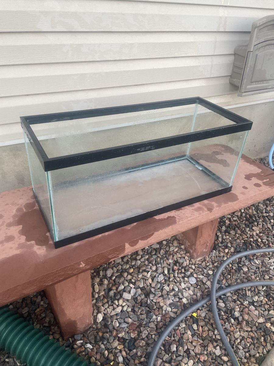 20 Gallon Long Glass Aquarium Fish Tank - Great for Fish, Reptiles, or Terrariums