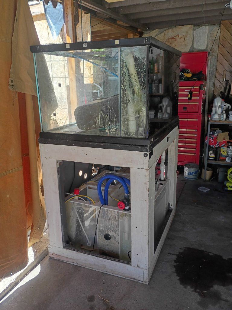 Large Used Fish Tank Aquarium with Sump & Stand