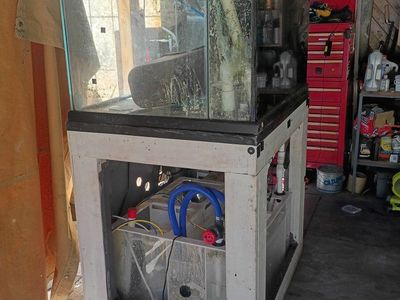 Large Used Fish Tank Aquarium with Sump & Stand