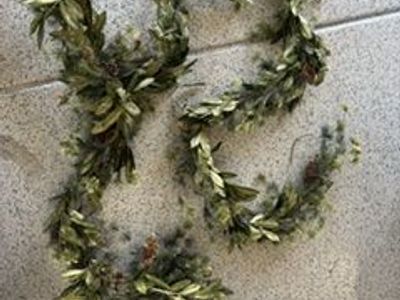 Christmas Garlands
