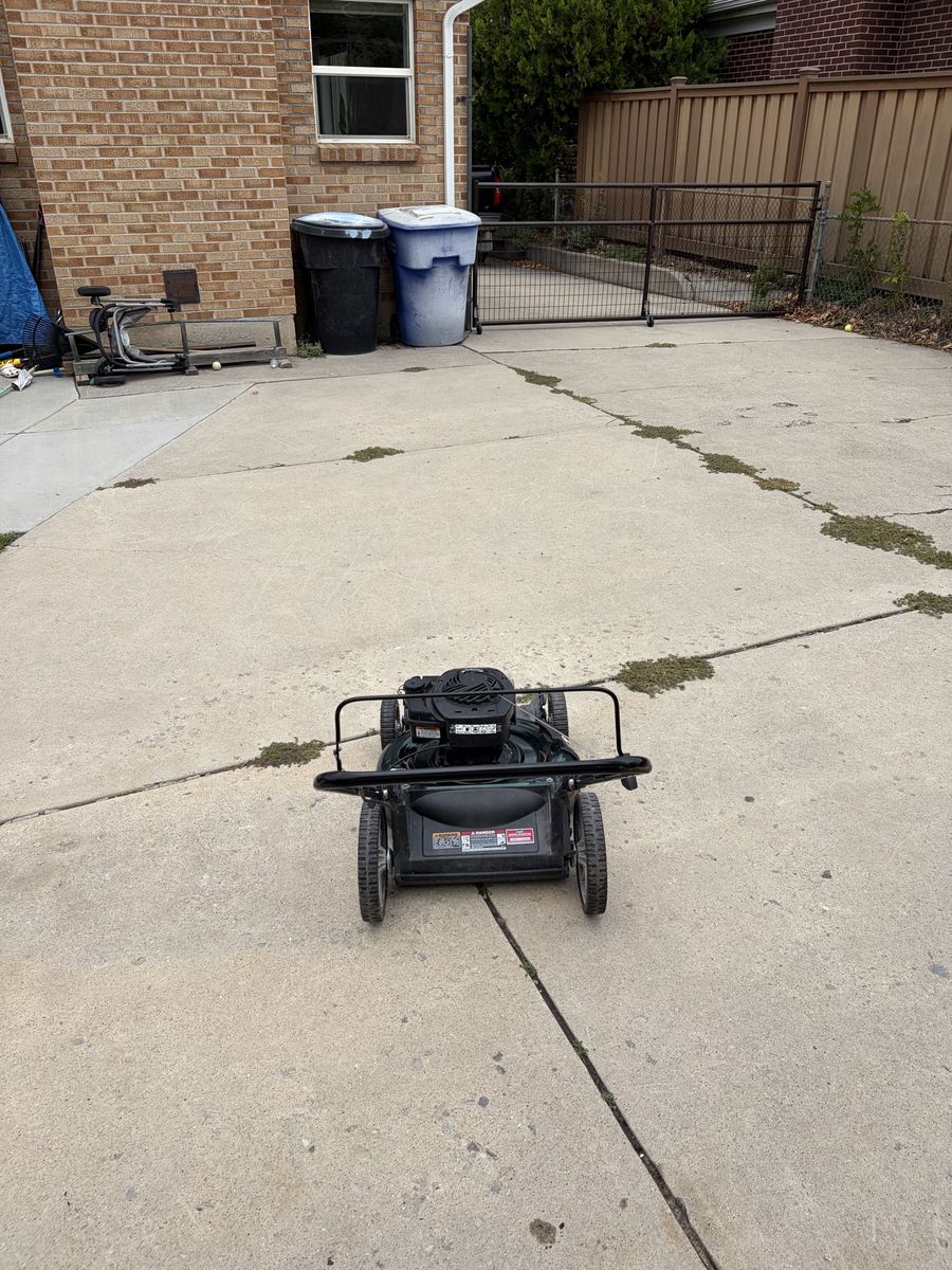 Main image 6