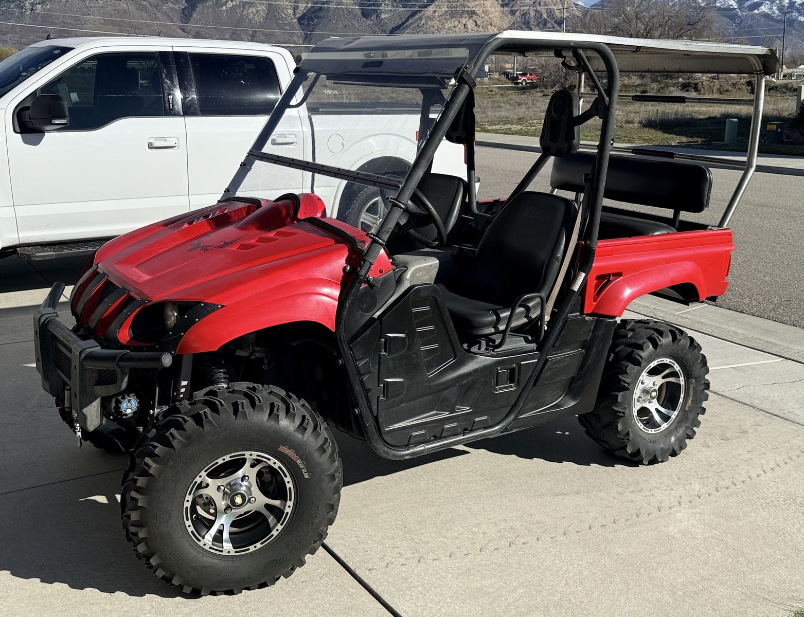 2009 Yamaha Rhino