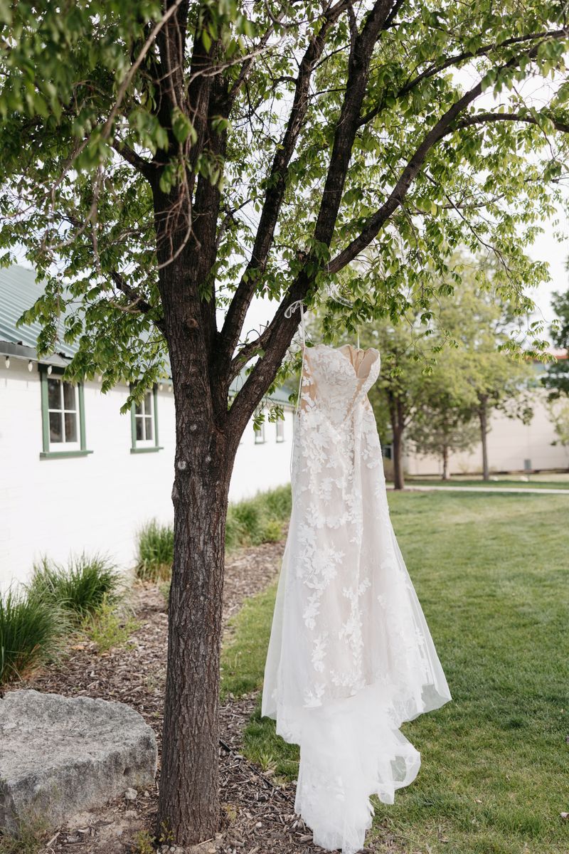 Wedding Dress-Gently Used