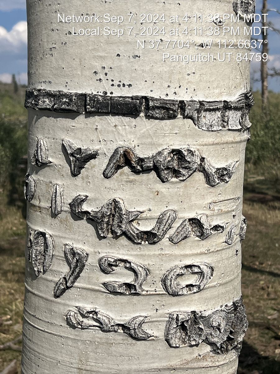West Panguitch Irrigation Water Shares - 7.125 Shares Available