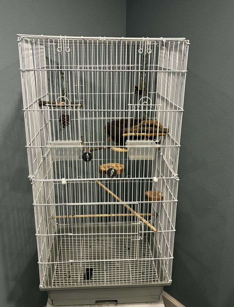 Tall Bird Cage