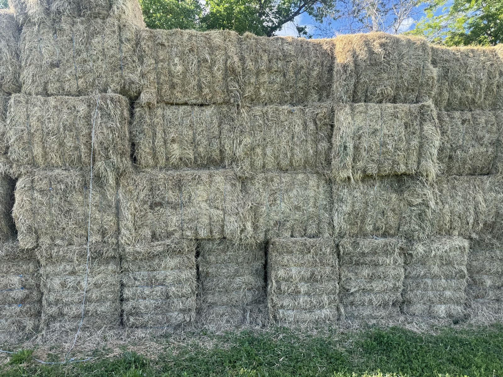 Feeder hay