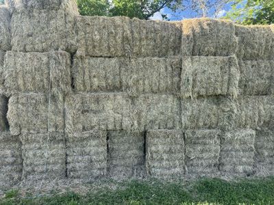 Feeder hay