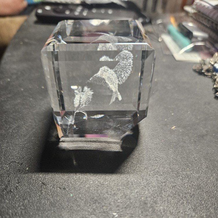 hummingbird etched in glass