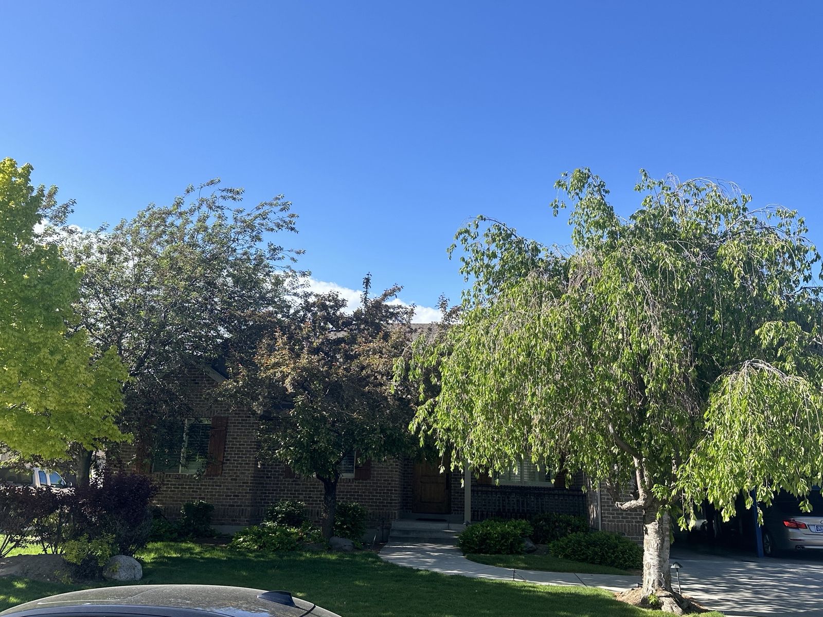 Main image 2
