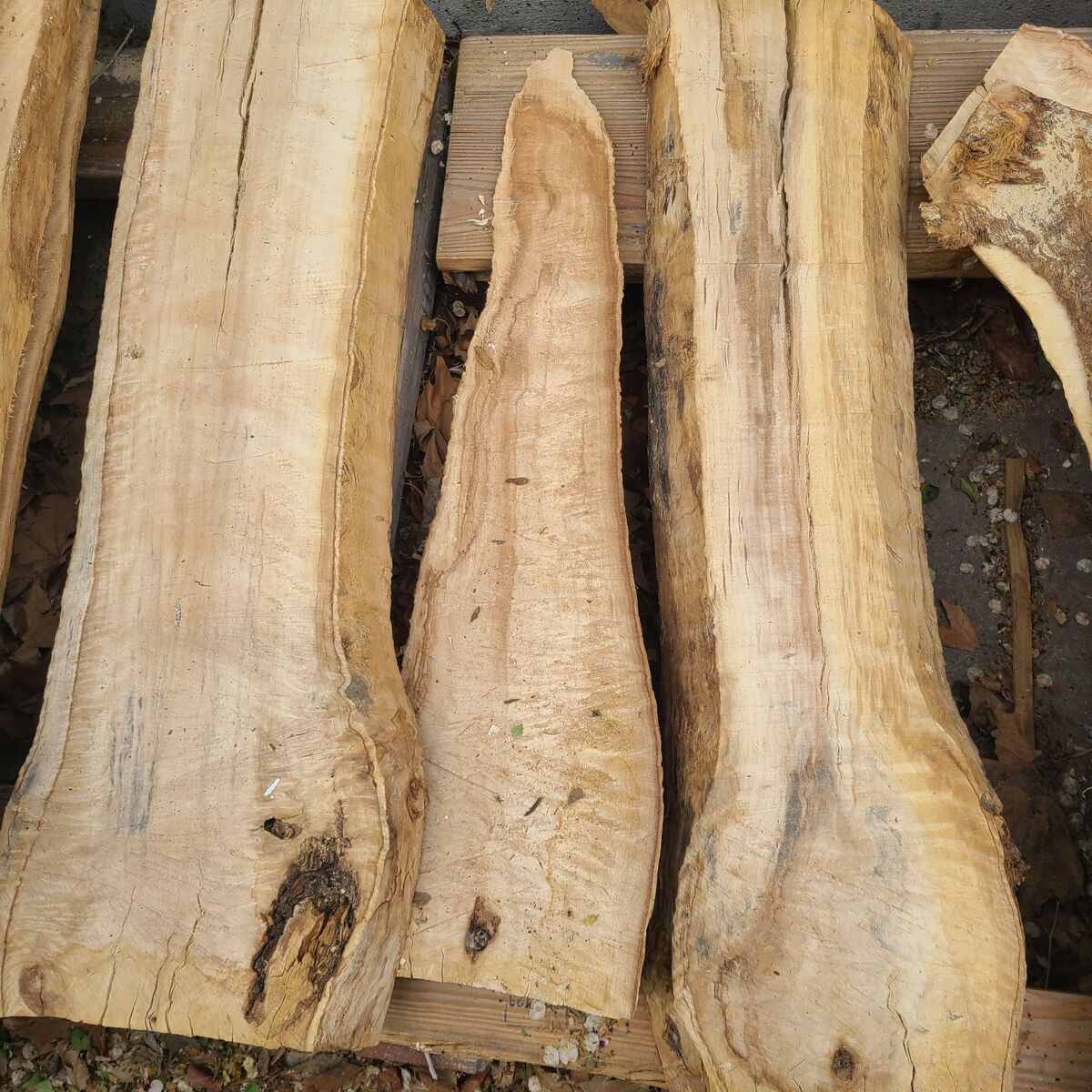 Cottonwood Slabs, (pic 5)$5 board ft.   Cash only