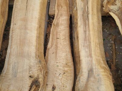 Cottonwood Slabs, (pic 5)$5 board ft. Cash only