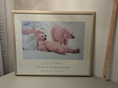thomas d. mangelsen open poster edition "Bad Boys of the Arctic" 28" x 34"