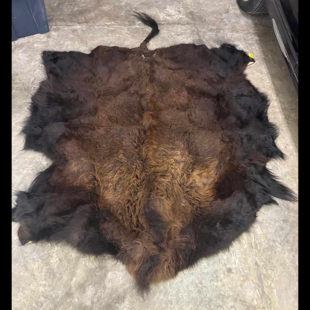 American Buffalo Hide Rug – Approx. 6 ft x 6 ft | Authentic Bison Rug