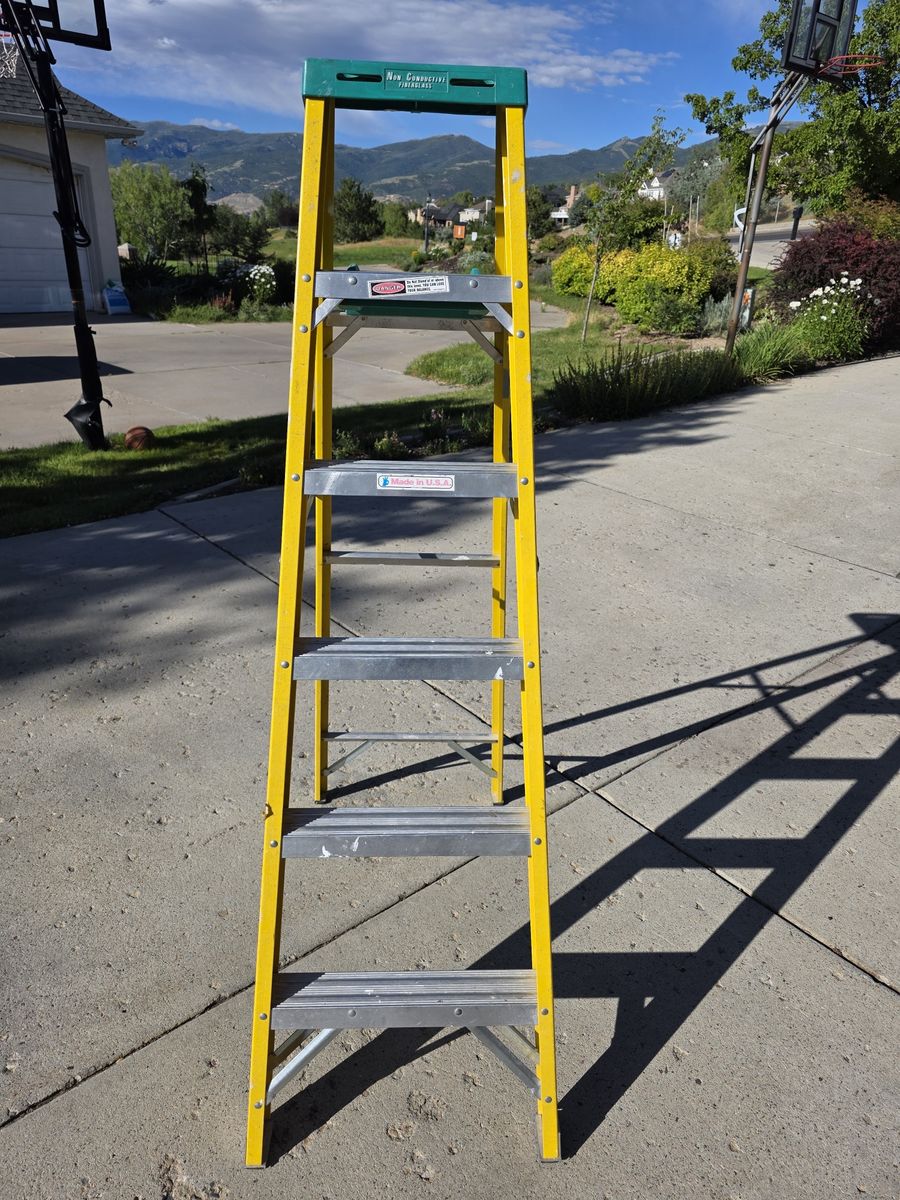 Werner FS106S 6 Foot Ladder