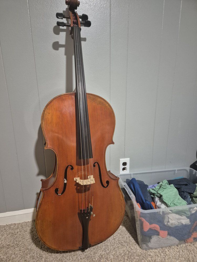 Main image 7