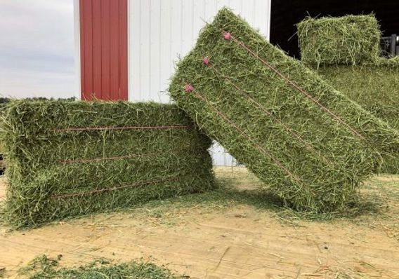 ISO 3x4x8 Alfalfa/Grass Mix