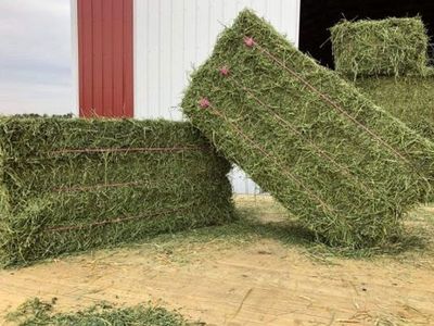 ISO 3x4x8 Alfalfa/Grass Mix