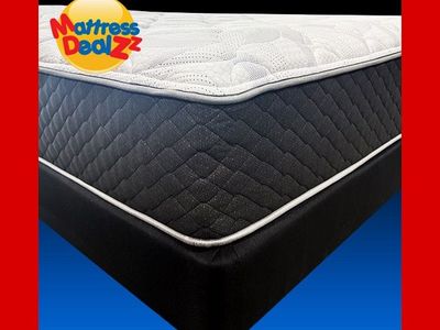 NEW MDZZ's "Griffin" Plush - All Sizes! 4 Locations!