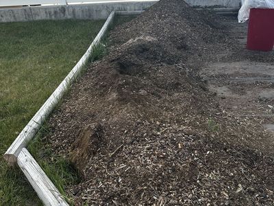 Woodchips (Free)