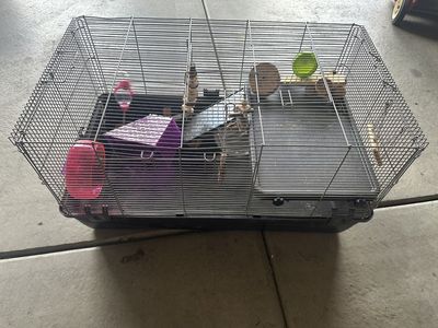 Hamster Cage
