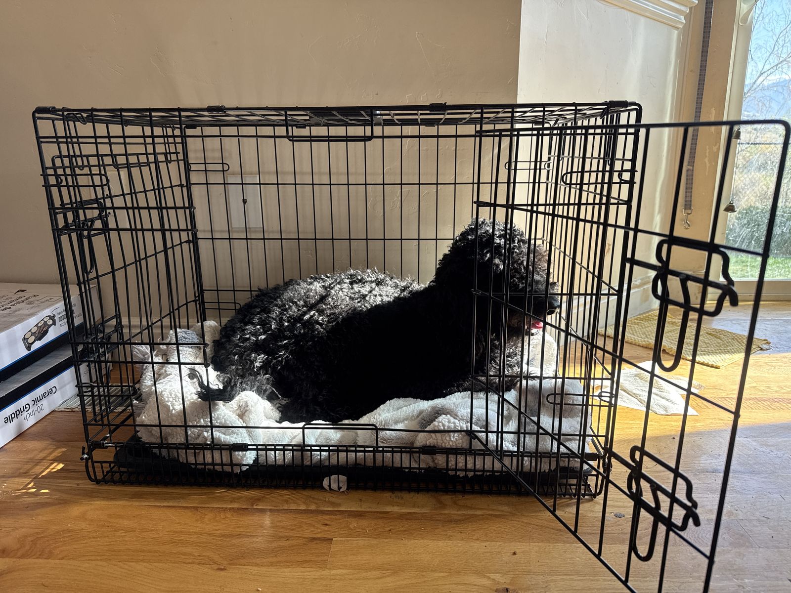 Dog Kennel/Crate