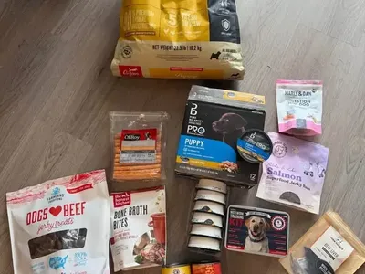 Dog Food & Treats Lot – Premium Brands, New/Opened – Picky Eater Cleanout – Lehi