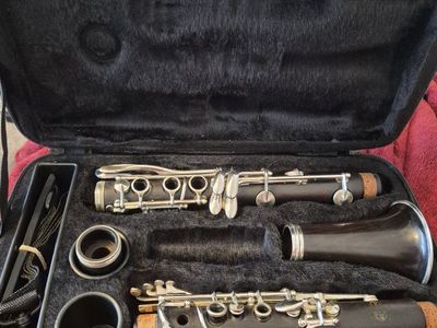 Buffet e11 Intermediate Wood Clarinet with Warranty
