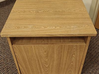 Oak Wood Finish Cabinet Nightstand with Storage Shelf and Door
