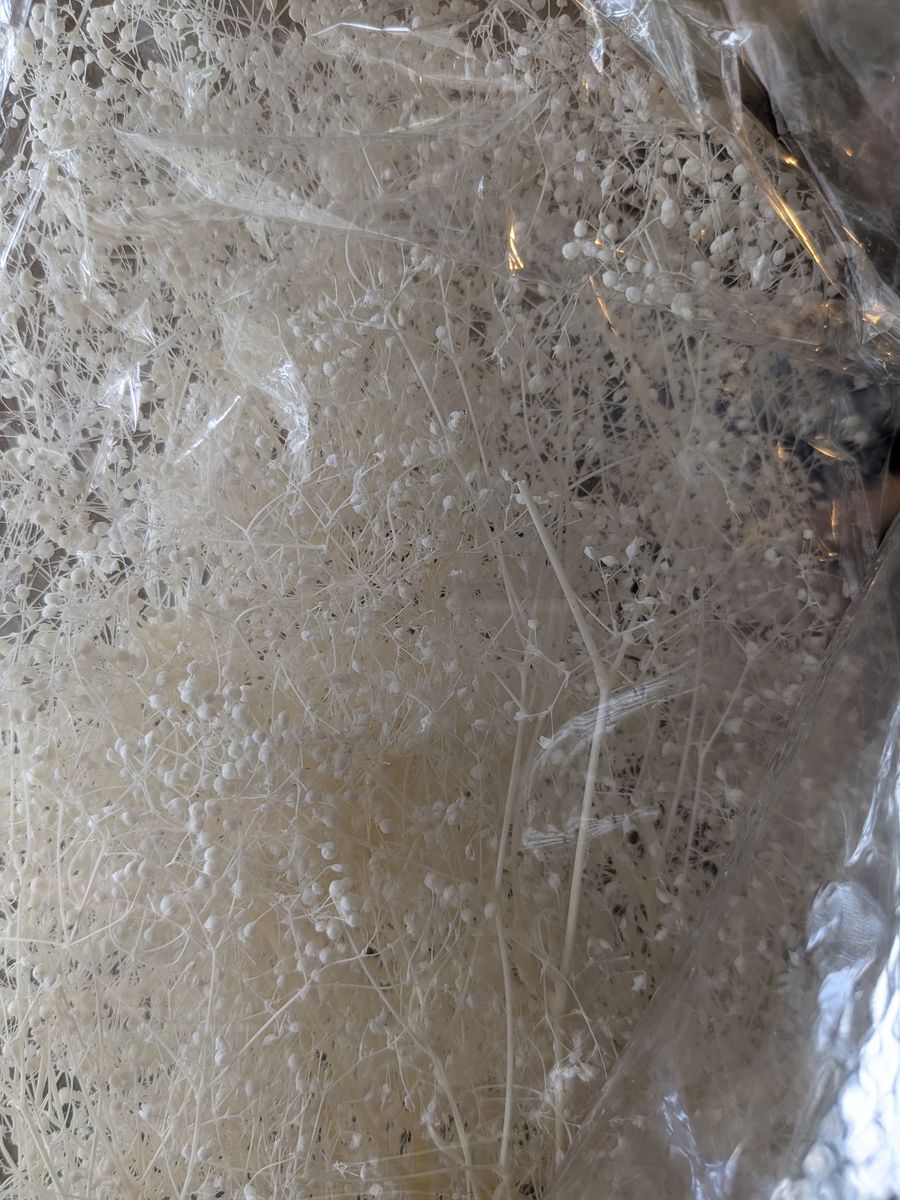 Main image 2