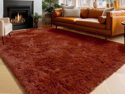 Luxurious Rust Red Shag Area Rug, Soft Fluffy Large Floor Carpet for Living Room/Bedroom