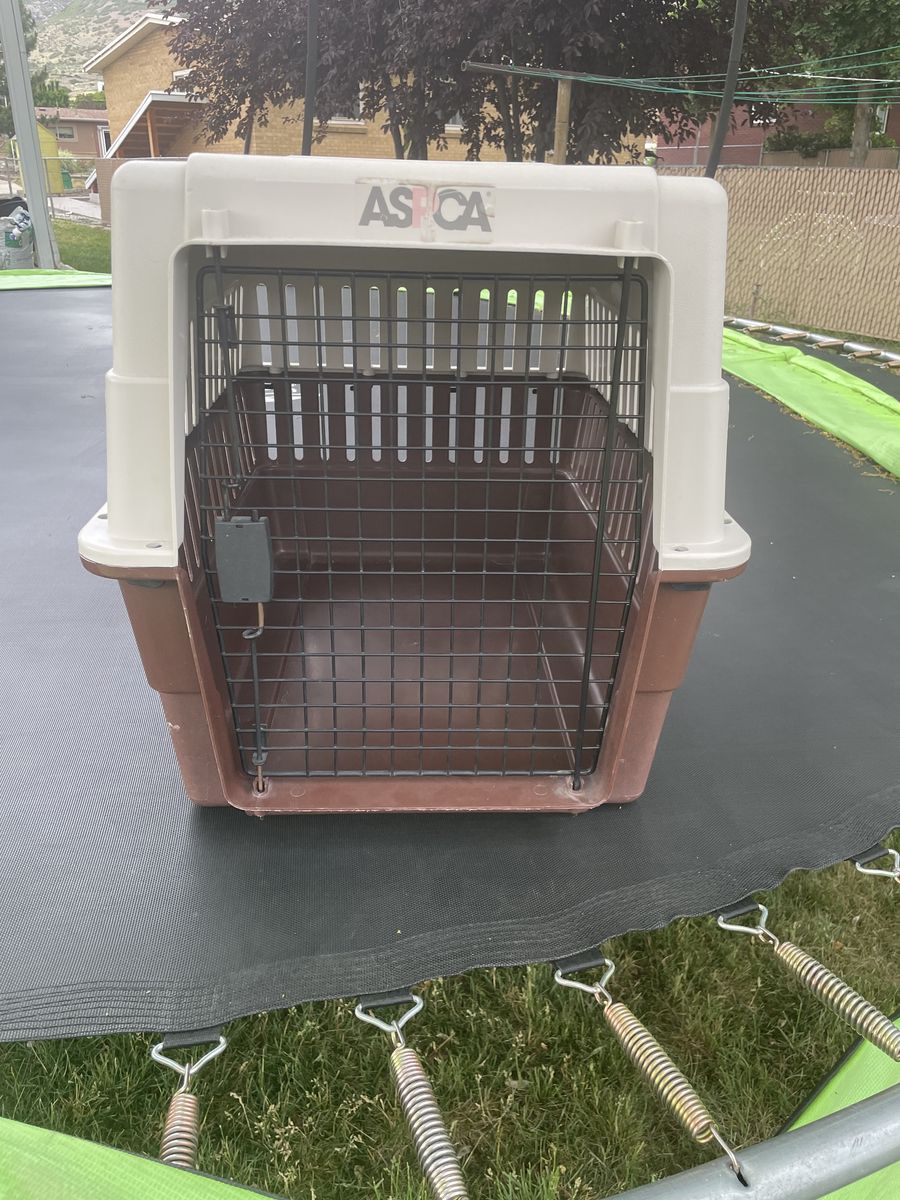 Dog kennel