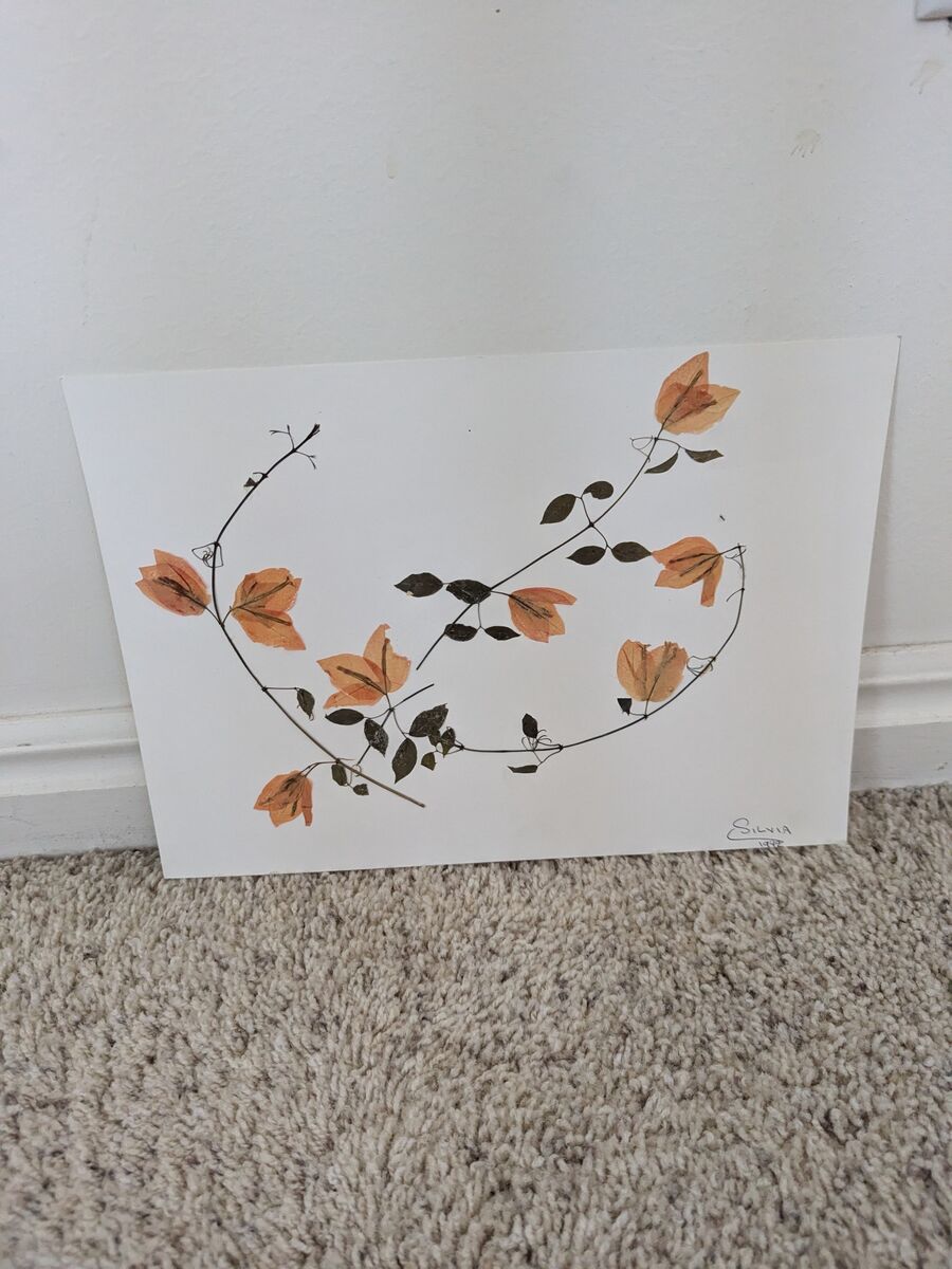 Handmade Dried Pressed Flowers Art-4 designs