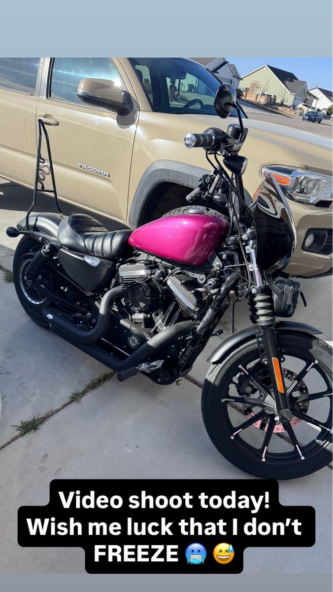 2020 Harley Davidson iron 883
