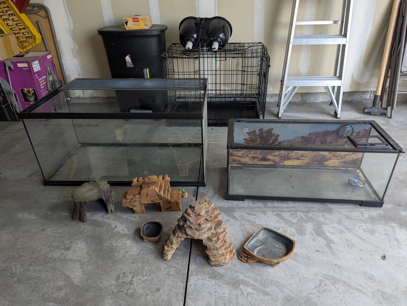 Reptile Tanks and Lights