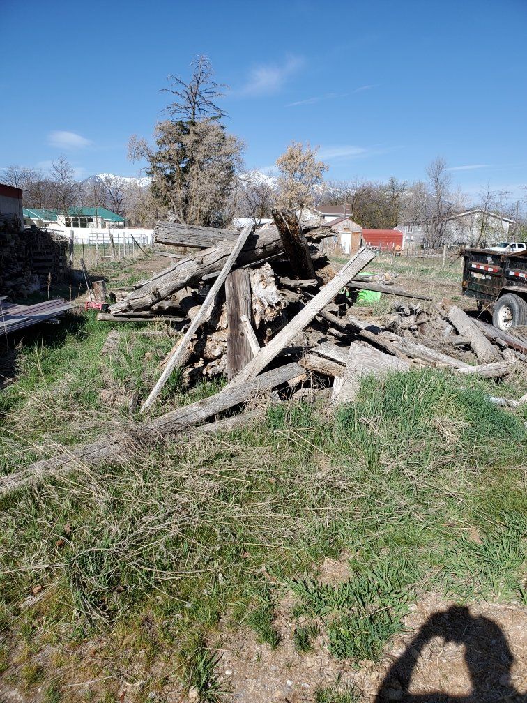 wood pile