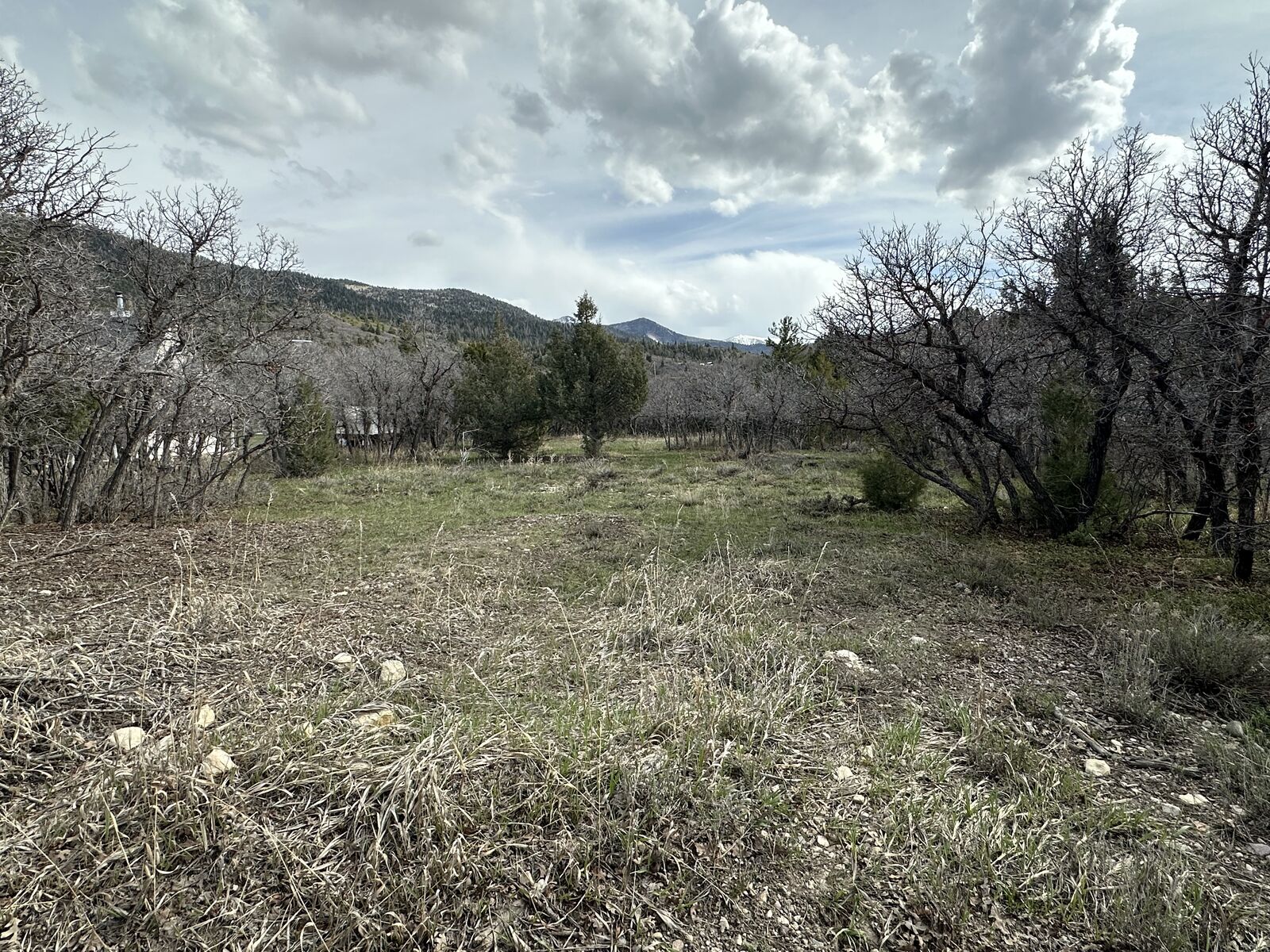 One Acre, Residential Building Lot in Whispering Pines Community