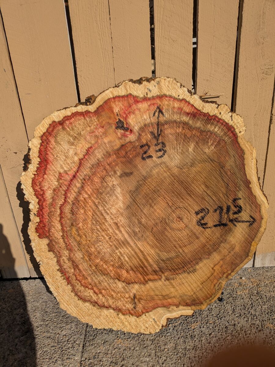 Burl and Maple wood slabs