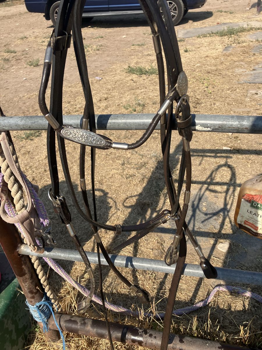 Pony size headstall and reins