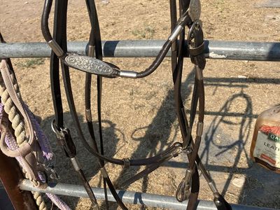 Pony size headstall and reins