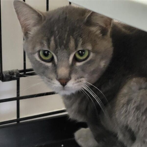 Hello my name is Redford